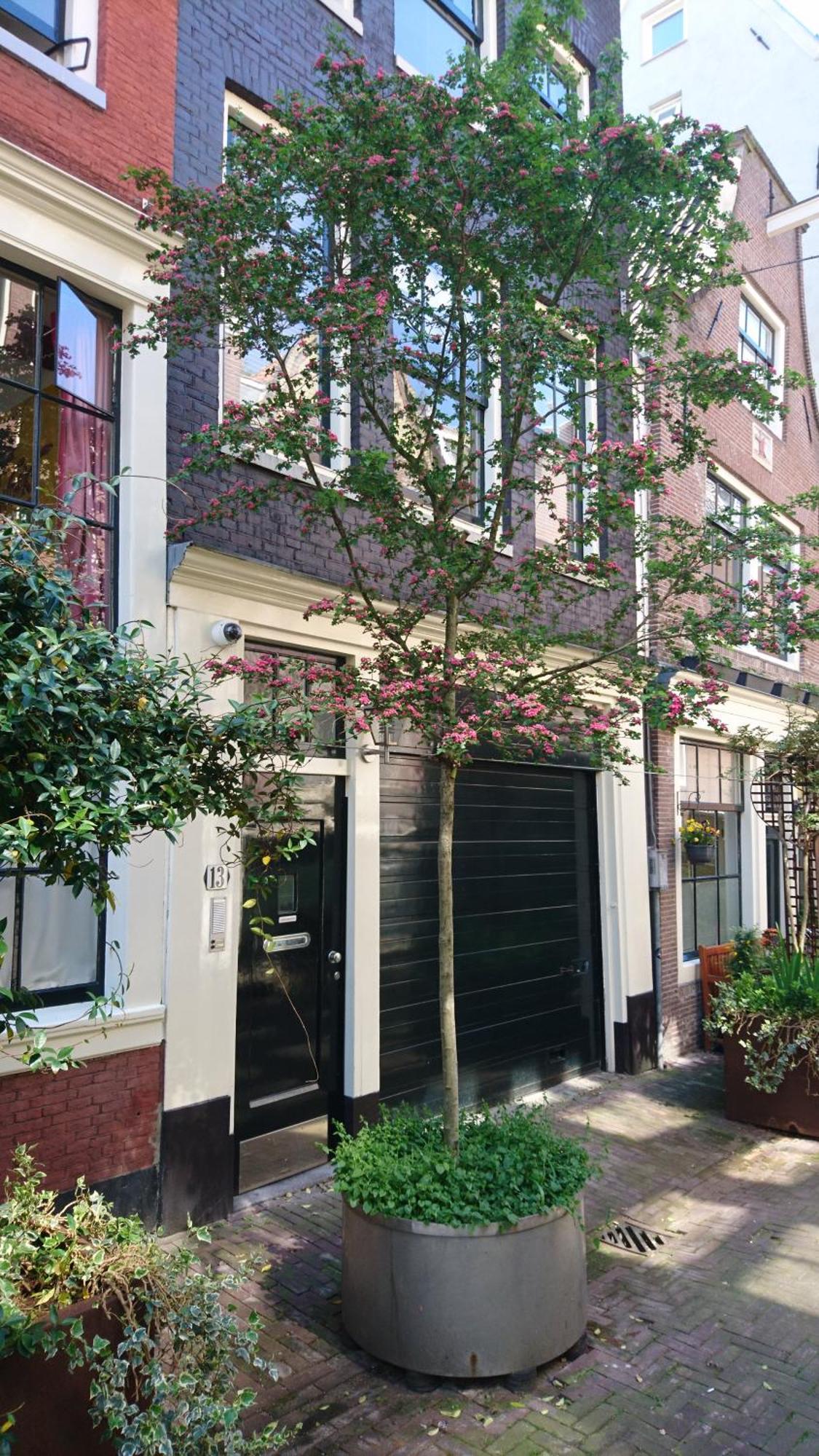 Huis Roomolen Άμστερνταμ Εξωτερικό φωτογραφία